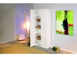 Armoire 2 Portes Avec étagères En Laminé